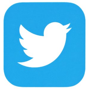 Social icon Twitter